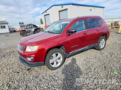 2011 JEEP COMPASS SPORT 1J4NF1FB0BD168830 - główne zdjęcie licytacji z USA - miniatura