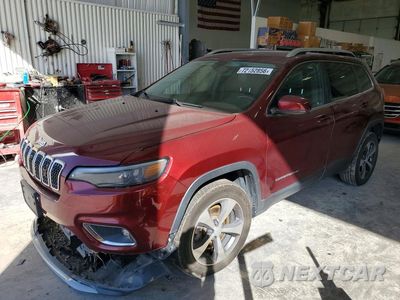 2019 JEEP CHEROKEE LIMITED 1C4PJMDX8KD338235 - główne zdjęcie licytacji z USA - miniatura