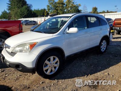 2009 HONDA CR-V EXL 5J6RE48799L001333 - główne zdjęcie licytacji z USA - miniatura