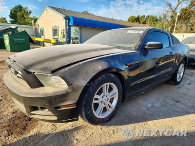 2014 FORD MUSTANG 1ZVBP8AM5E5301973 - główne zdjęcie licytacji z USA - miniatura