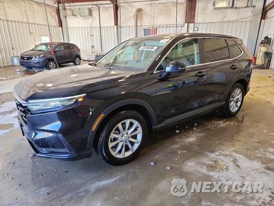 2024 HONDA CR-V EX 7FARS4H41RE017635 - główne zdjęcie licytacji z USA - miniatura