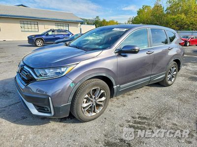 2020 HONDA CR-V EX 5J6RW2H54LA020181 - główne zdjęcie licytacji z USA - miniatura