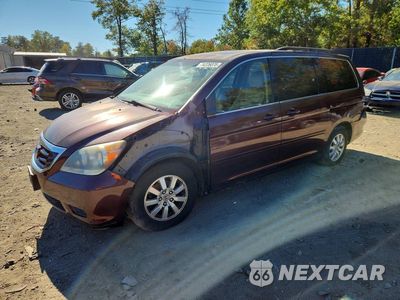 2010 HONDA ODYSSEY EXL 5FNRL3H79AB005301 - główne zdjęcie licytacji z USA - miniatura