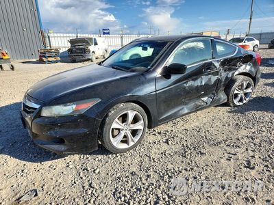 2011 HONDA ACCORD EXL 1HGCS1B85BA013079 - główne zdjęcie licytacji z USA - miniatura