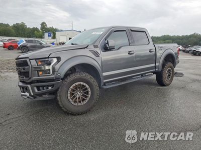2019 FORD F150 RAPTOR 1FTFW1RG0KFD16402 - główne zdjęcie licytacji z USA - miniatura