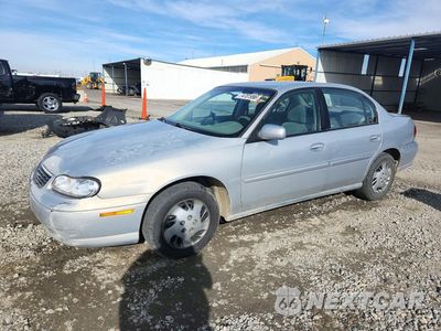 1999 CHEVROLET MALIBU 1G1ND52MXX6120489 - główne zdjęcie licytacji z USA - miniatura