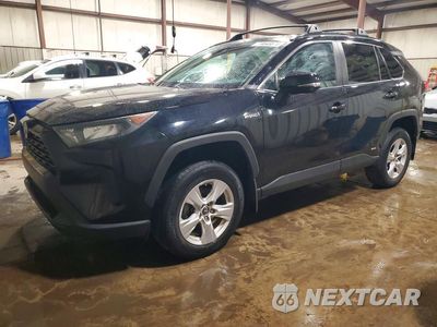 2020 TOYOTA RAV4 LE 2T3MWRFV1LW087866 - główne zdjęcie licytacji z USA - miniatura