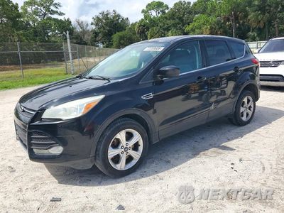 2014 FORD ESCAPE SE 1FMCU9G9XEUB04436 - główne zdjęcie licytacji z USA - miniatura