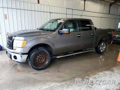 2010 FORD F150 SUPERCREW 1FTEW1E89AFD63968 - główne zdjęcie licytacji z USA - miniatura