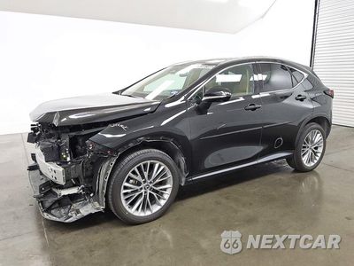 2025 LEXUS NX 350H LUXURY 2T2HKCEZ1SC050223 - główne zdjęcie licytacji z USA - miniatura