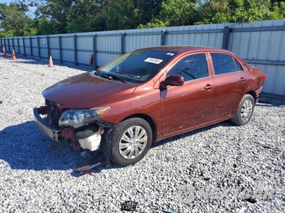 2009 TOYOTA COROLLA LE JTDBL40E899060460 - główne zdjęcie licytacji z USA - miniatura