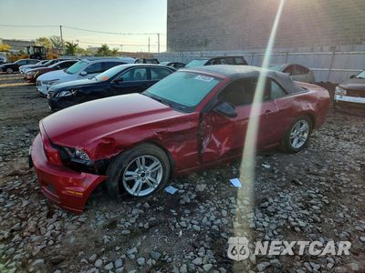 2013 FORD MUSTANG 1ZVBP8EM2D5216999 - główne zdjęcie licytacji z USA - miniatura