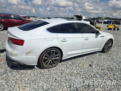 Trzecie zdjęcie samochodu z tyłu: 2024 AUDI A5 PREMIUM 45 VIN:WAUDACF56RA109666 - miniatura