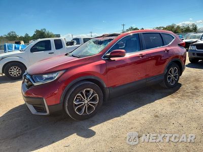 2021 HONDA CR-V EXL 7FARW1H85ME009388 - główne zdjęcie licytacji z USA - miniatura