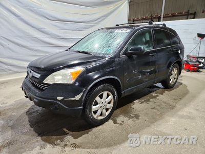 2009 HONDA CR-V EX JHLRE48529C003271 - główne zdjęcie licytacji z USA - miniatura