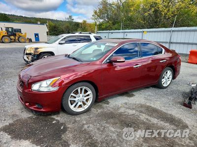 2010 NISSAN MAXIMA 3.5 S 1N4AA5AP3AC875069 - główne zdjęcie licytacji z USA - miniatura