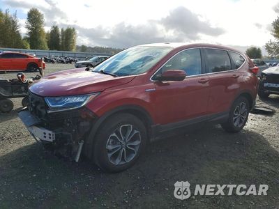 2022 HONDA CR-V EXL 5J6RT6H81NL023279 - główne zdjęcie licytacji z USA - miniatura
