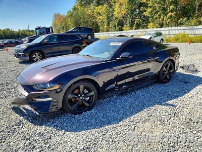 2023 FORD MUSTANG 1FA6P8TH0P5101466 - główne zdjęcie licytacji z USA - miniatura