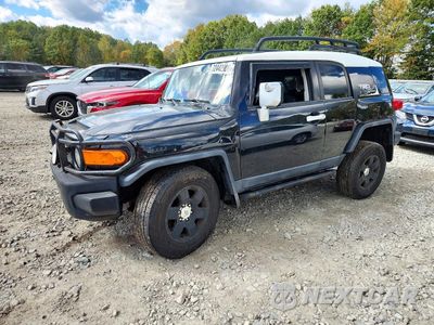 2007 TOYOTA FJ CRUISER BASE JTEBU11F470069267 - główne zdjęcie licytacji z USA - miniatura