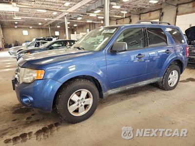 2009 FORD ESCAPE XLT 1FMCU93G09KC68686 - główne zdjęcie licytacji z USA - miniatura