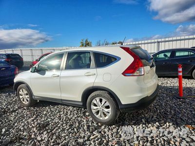 Drugie zdjęcie samochodu z przodu: 2014 HONDA CR-V EX VIN:5J6RM4H51EL115953 - miniatura