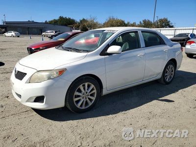 2009 TOYOTA COROLLA LE JTDBL40E09J012482 - główne zdjęcie licytacji z USA - miniatura