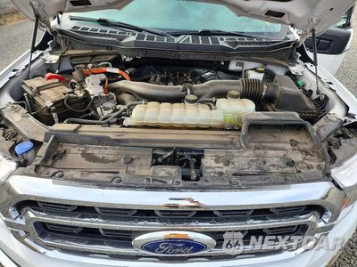 Zdjęcie 11 z 12 samochodu: 2022 FORD F150 SUPERCREW VIN:1FTFW1ED6NFB23753 - miniatura