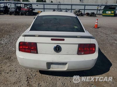Zdjęcie 6 z 12 samochodu: 2005 FORD MUSTANG VIN:1ZVFT80N355257138 - miniatura