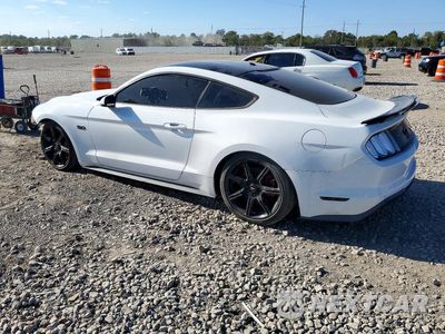 Drugie zdjęcie samochodu z przodu: 2019 FORD MUSTANG GT VIN:1FA6P8CF7K5152843 - miniatura