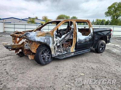 2020 CHEVROLET SILVERADO K1500 TRAIL BOSS CUSTOM 3GCPYCEFXLG251193 - główne zdjęcie licytacji z USA - miniatura
