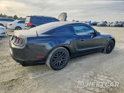 Trzecie zdjęcie samochodu z tyłu: 2013 FORD MUSTANG VIN:1ZVBP8AM7D5209519 - miniatura