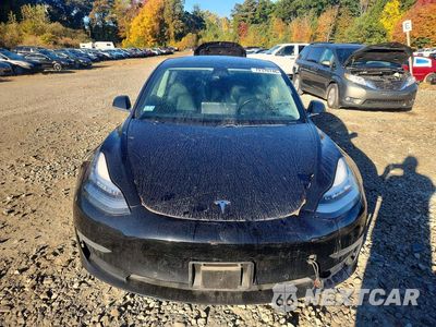 Piąte zdjęcie samochodu w środku: 2019 TESLA MODEL 3 VIN:5YJ3E1EA3KF397777 - miniatura