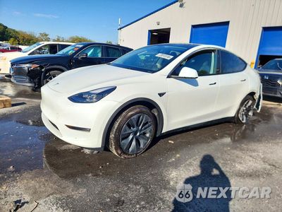 2025 TESLA MODEL Y 7SAYGDEEXSF224930 - główne zdjęcie licytacji z USA - miniatura