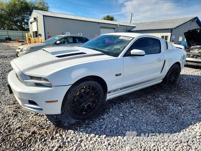 2014 FORD MUSTANG GT 1ZVBP8CF4E5235561 - główne zdjęcie licytacji z USA - miniatura