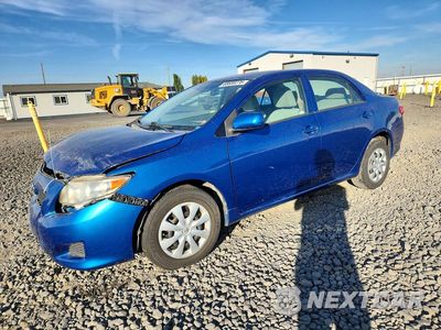 2010 TOYOTA COROLLA LE 1NXBU4EE3AZ225138 - główne zdjęcie licytacji z USA - miniatura