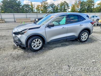 2024 FORD ESCAPE ACTIVE 1FMCU0GN4RUA05464 - główne zdjęcie licytacji z USA - miniatura