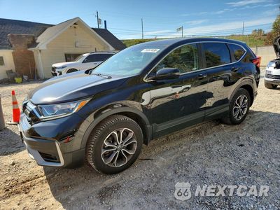 2020 HONDA CR-V EXL 2HKRW2H87LH615440 - główne zdjęcie licytacji z USA - miniatura