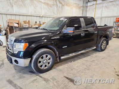2013 FORD F150 SUPERCREW 1FTFW1ET2DFD96629 - główne zdjęcie licytacji z USA - miniatura