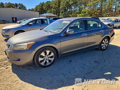 2009 HONDA ACCORD EXL 1HGCP36839A029024 - główne zdjęcie licytacji z USA - miniatura