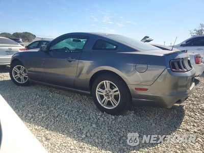 Drugie zdjęcie samochodu z przodu: 2013 FORD MUSTANG VIN:1ZVBP8AM9D5255529 - miniatura