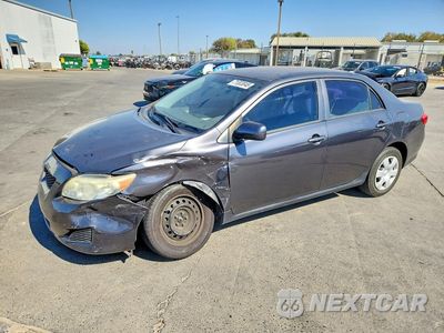 2009 TOYOTA COROLLA LE JTDBL40E099089631 - główne zdjęcie licytacji z USA - miniatura