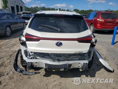 Zdjęcie 6 z 12 samochodu: 2022 LEXUS UX 250H BASE VIN:JTHP9JBH4N2061813 - miniatura