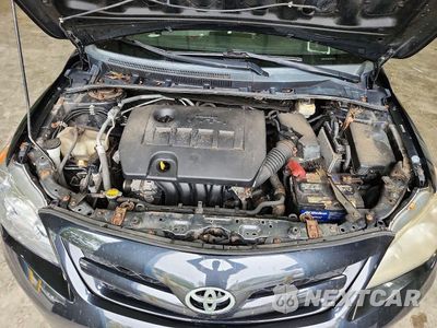 Zdjęcie 11 z 12 samochodu: 2011 TOYOTA COROLLA LE VIN:2T1BU4EE2BC643175 - miniatura
