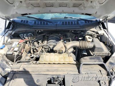 Zdjęcie 11 z 12 samochodu: 2019 FORD F150 SUPER CAB VIN:1FTFX1E55KKC92347 - miniatura