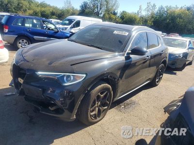 2019 ALFA ROMEO STELVIO ZASPAKAN0K7C72163 - główne zdjęcie licytacji z USA - miniatura
