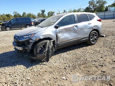 2022 HONDA CR-V EX 7FARW2H53NE008379 - główne zdjęcie licytacji z USA - miniatura