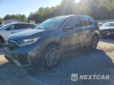 2020 HONDA CR-V EX 7FARW1H5XLE029687 - główne zdjęcie licytacji z USA - miniatura