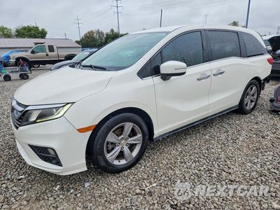 2019 HONDA ODYSSEY EX 5FNRL6H54KB047196 - główne zdjęcie licytacji z USA - miniatura