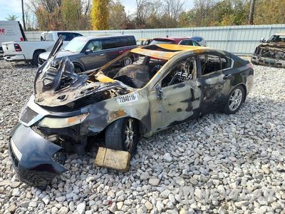 2009 ACURA TL 19UUA86539A003998 - główne zdjęcie licytacji z USA - miniatura