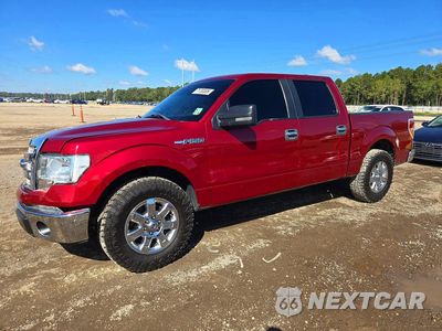 2013 FORD F150 SUPERCREW 1FTEW1CM2DFD63217 - główne zdjęcie licytacji z USA - miniatura